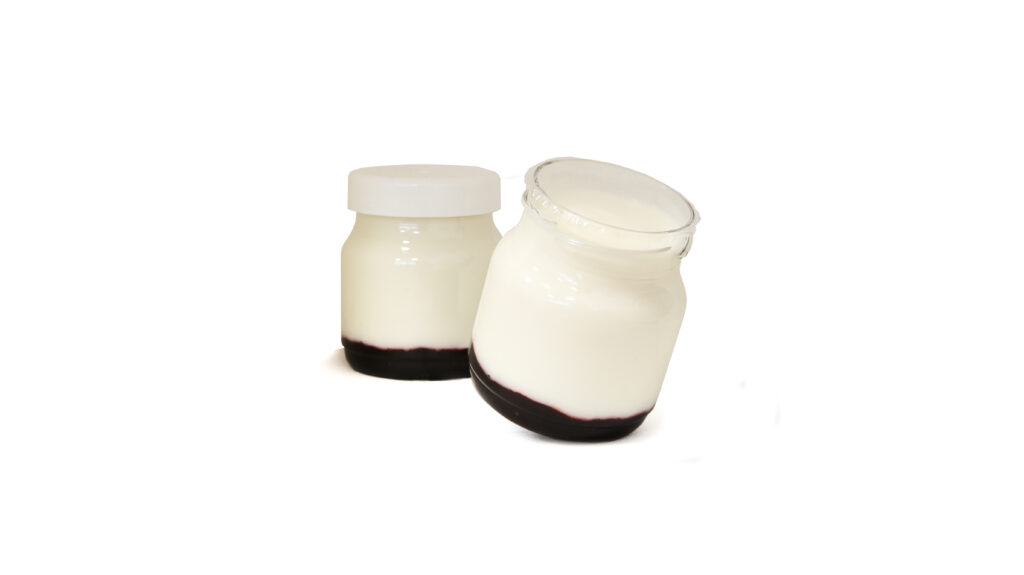 Yogurt E Purea 2