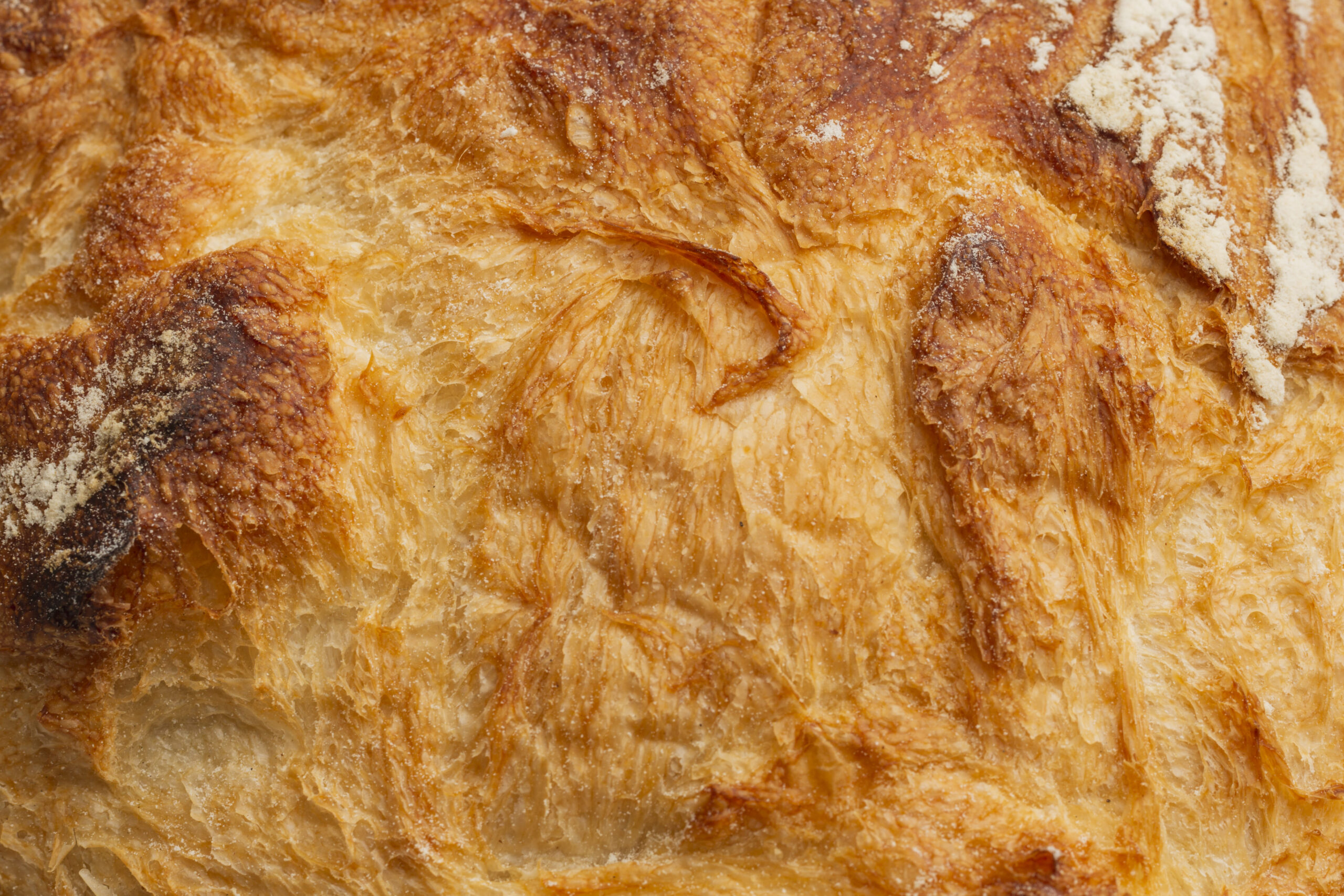 Bakery Packaging